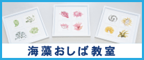 海藻おしば教室