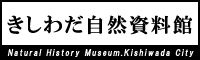 きしわだ自然資料館
