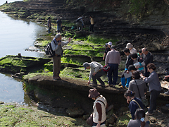 ここでは化石の観察もできました