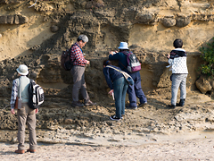 自由時間でも熱心に観察！